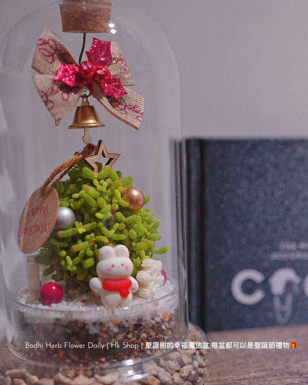 【聖誕禮物】幸福聖誕魔法樹盆栽