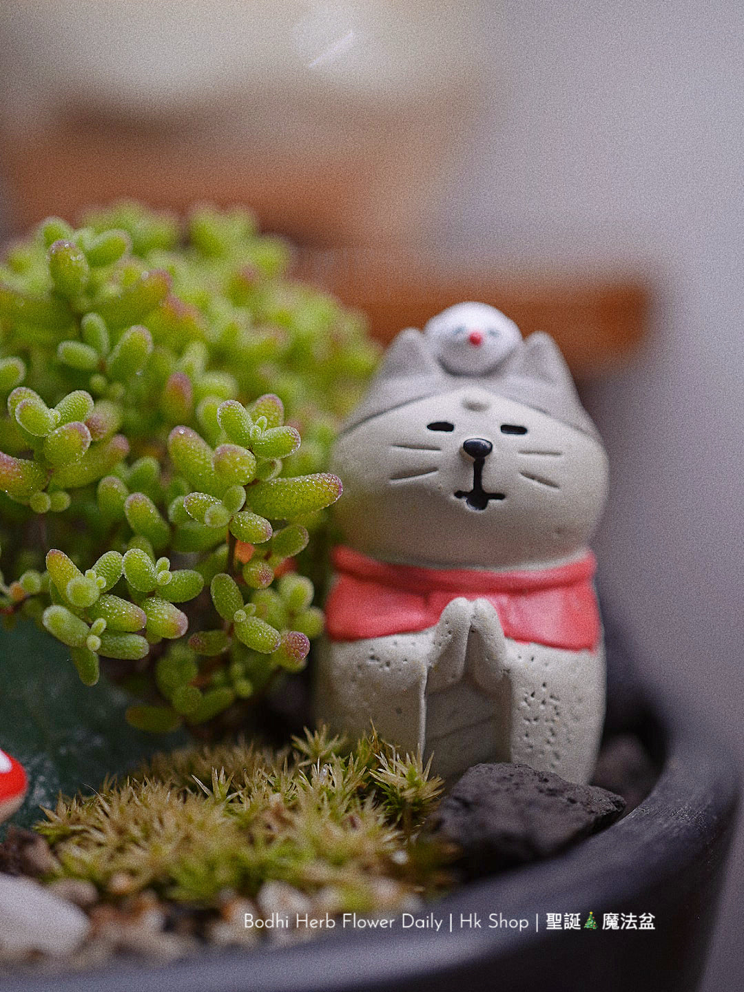 【聖誕禮物】聖誕幸福魔法小樹盆栽