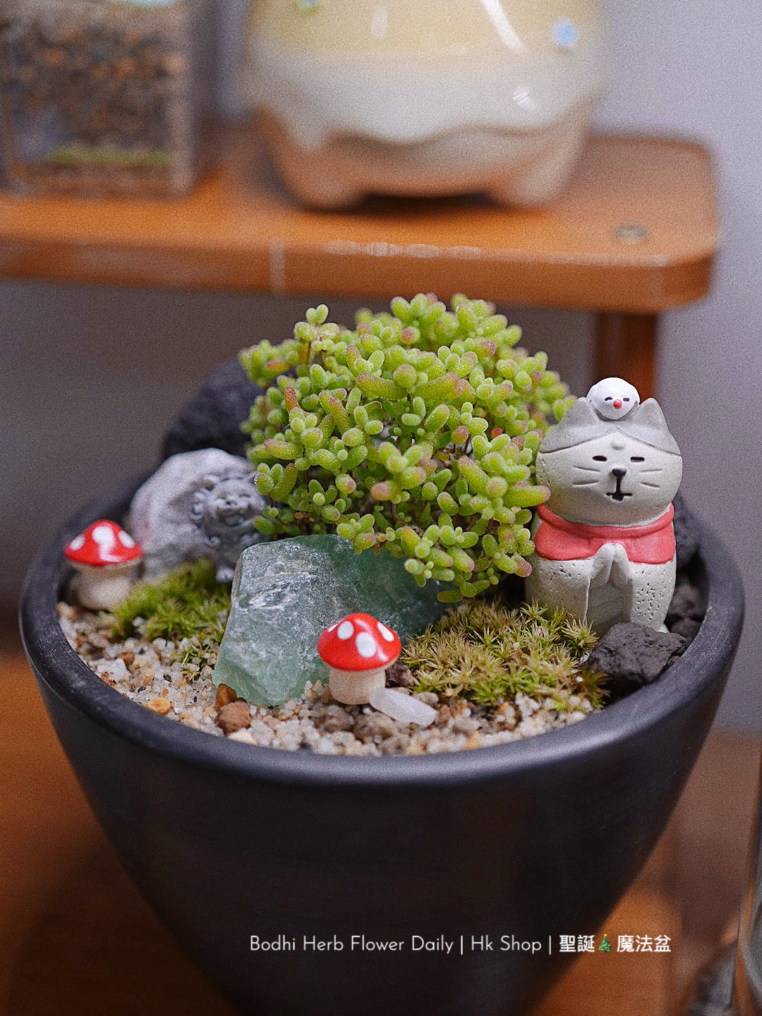 【聖誕禮物】聖誕幸福魔法小樹盆栽