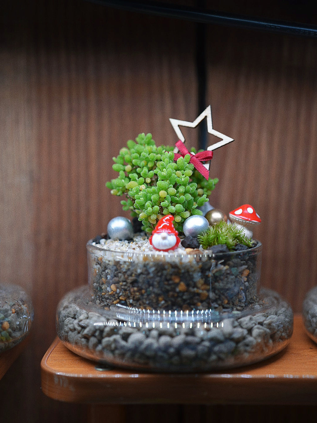 【聖誕禮物】聖誕幸福魔法小樹盆栽