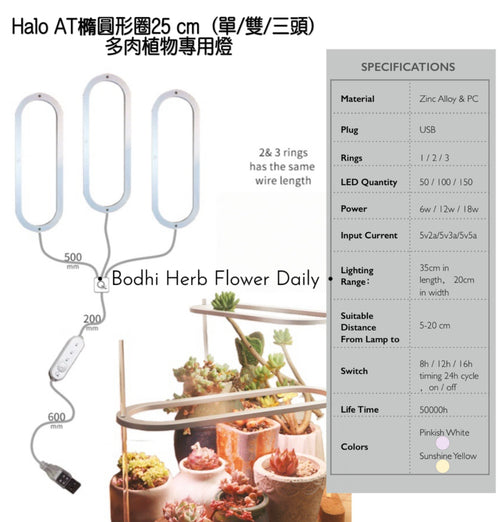 B.H.多肉植物專用燈