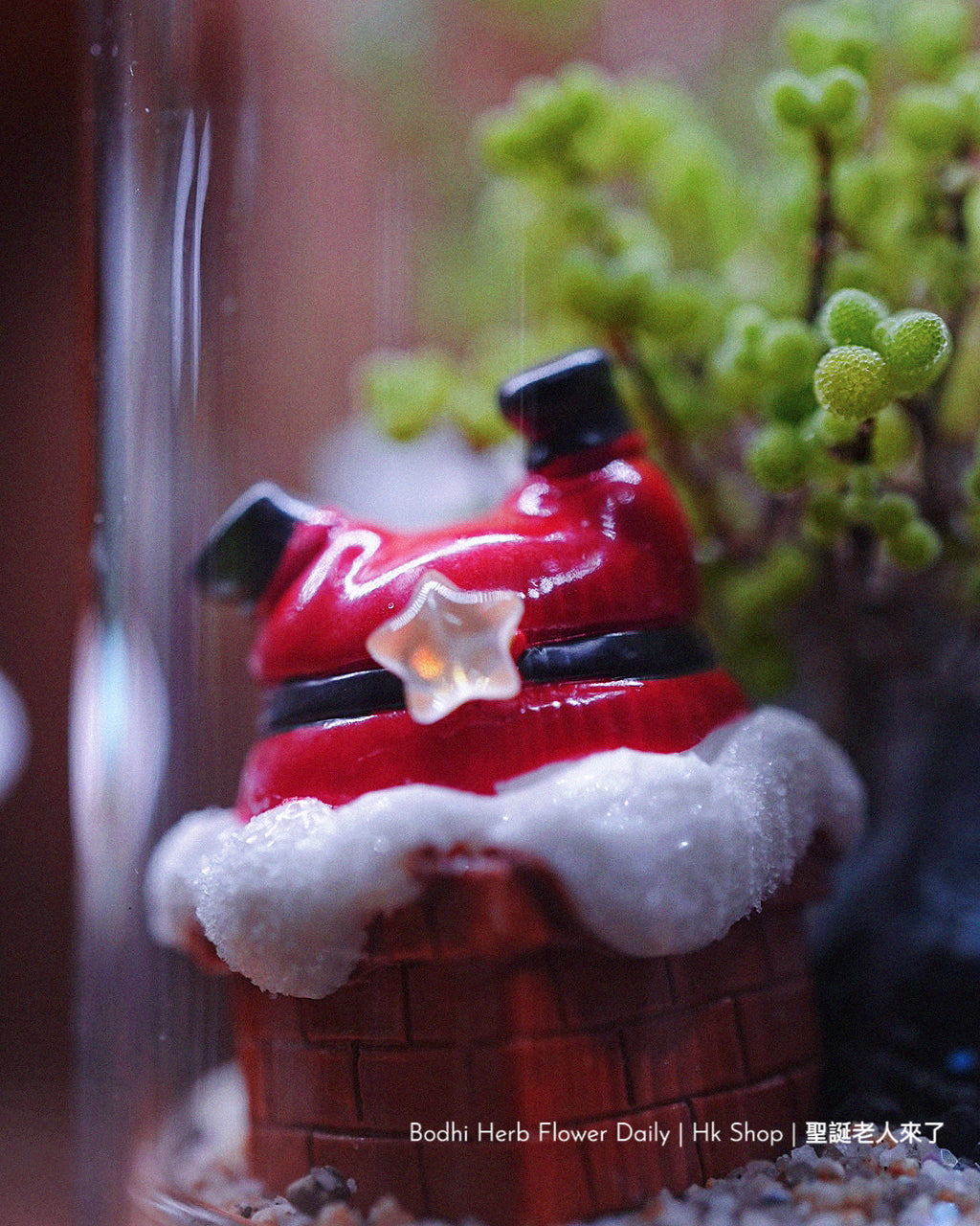 【聖誕禮物】聖誕小樹幸福魔法小盆栽