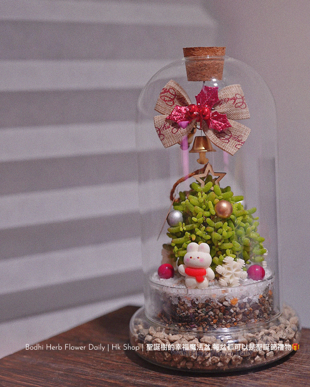 【聖誕禮物】幸福聖誕魔法樹盆栽