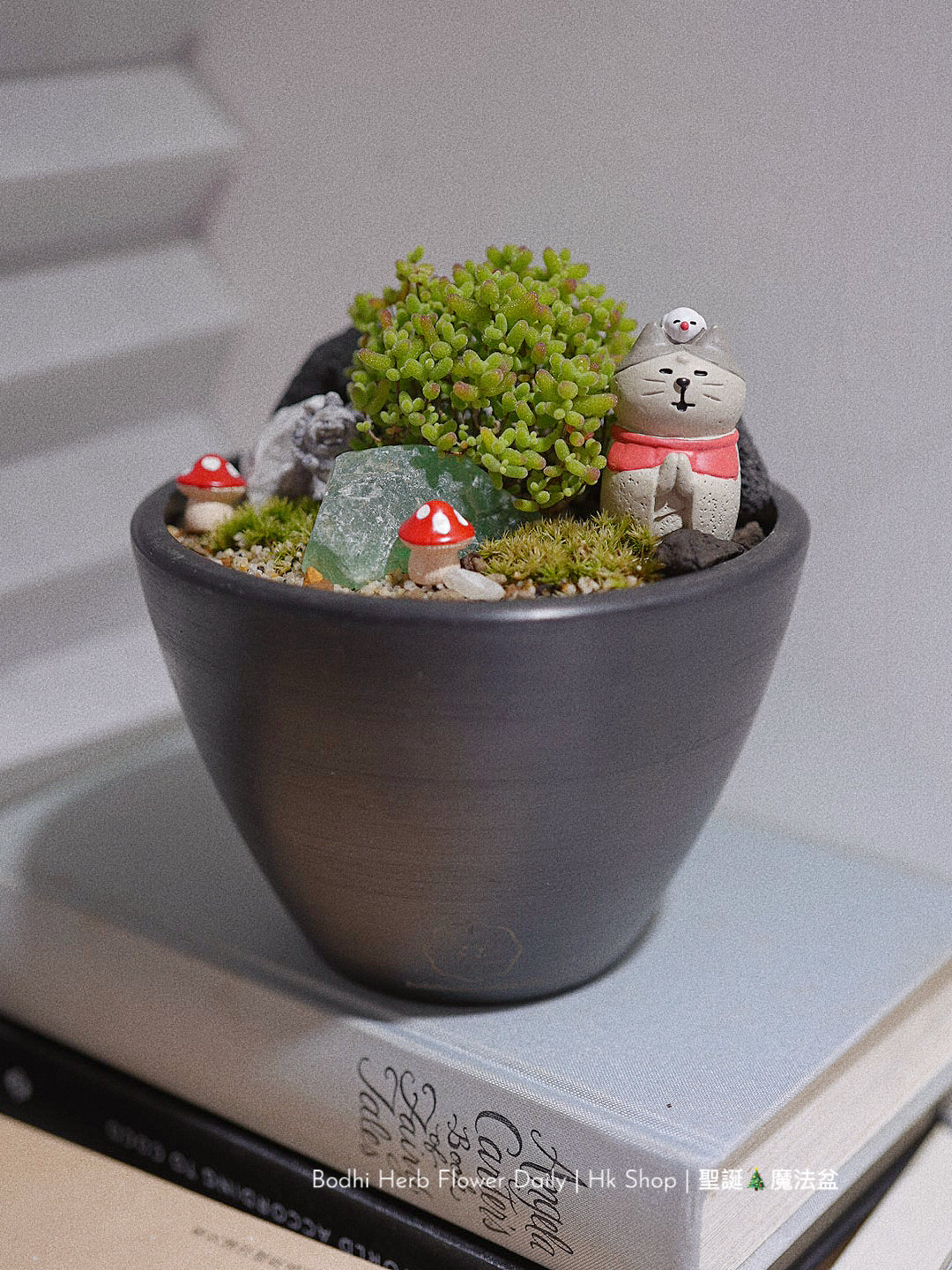 【聖誕禮物】聖誕幸福魔法小樹盆栽