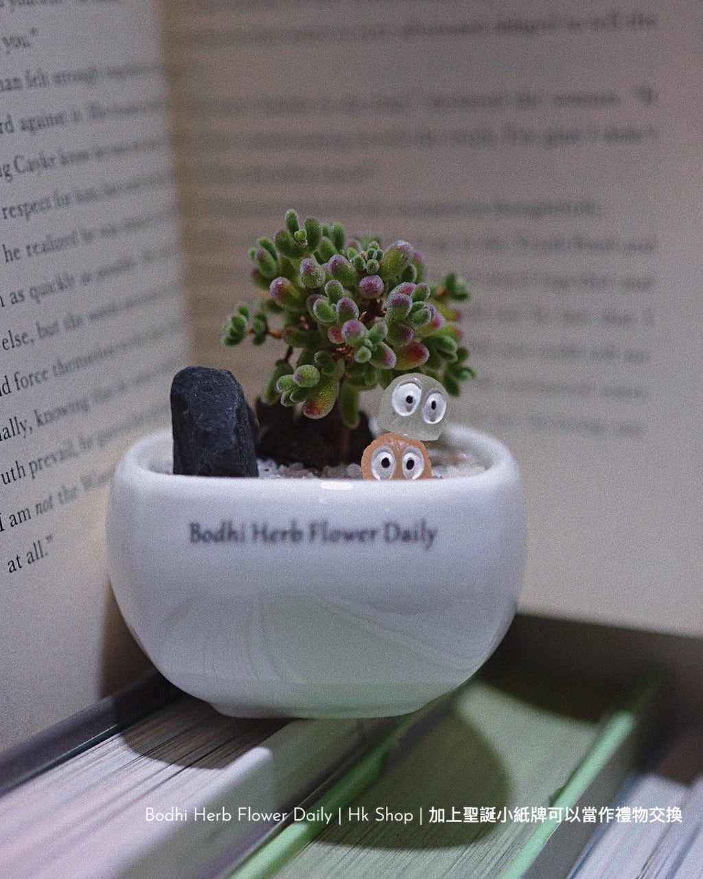 【聖誕禮物】聖誕小樹幸福魔法小盆栽