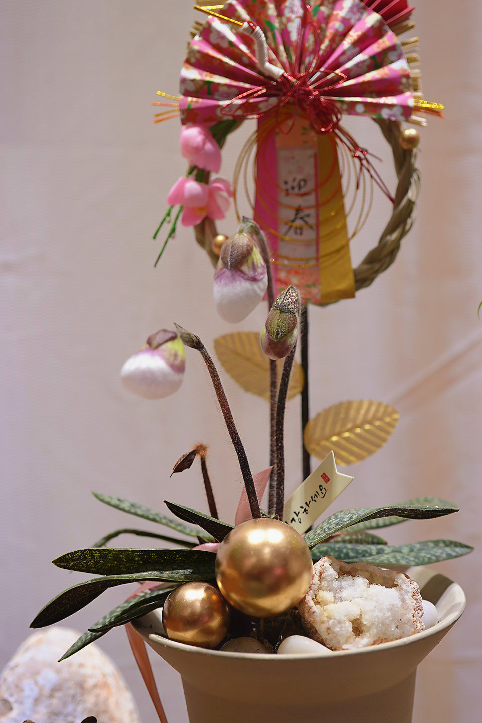 【2026 農曆新年 】富貴『袋袋金』蘭花