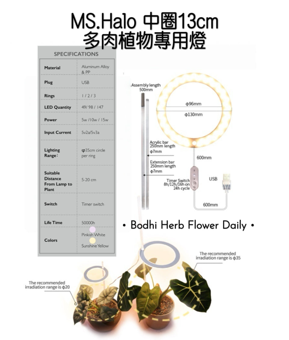 B.H.多肉植物專用燈