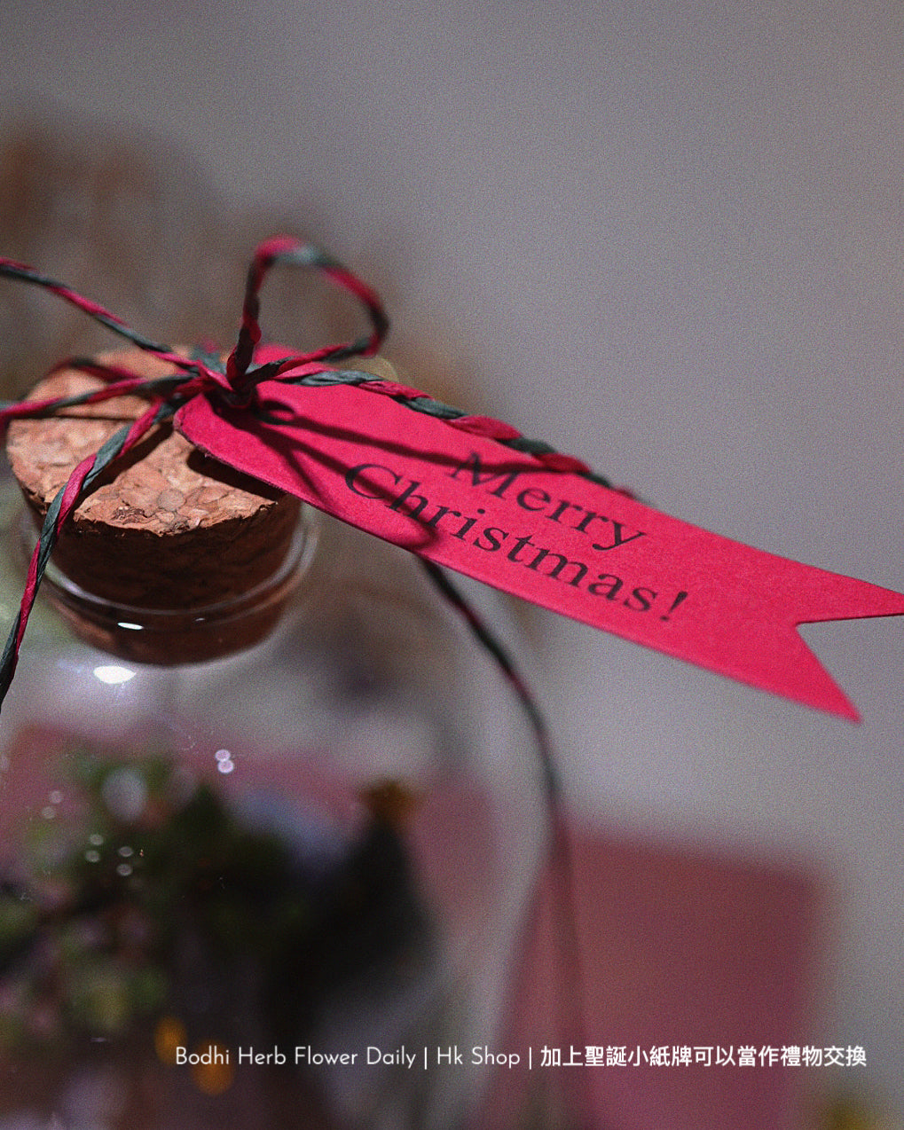 【聖誕禮物】聖誕小樹幸福魔法小盆栽