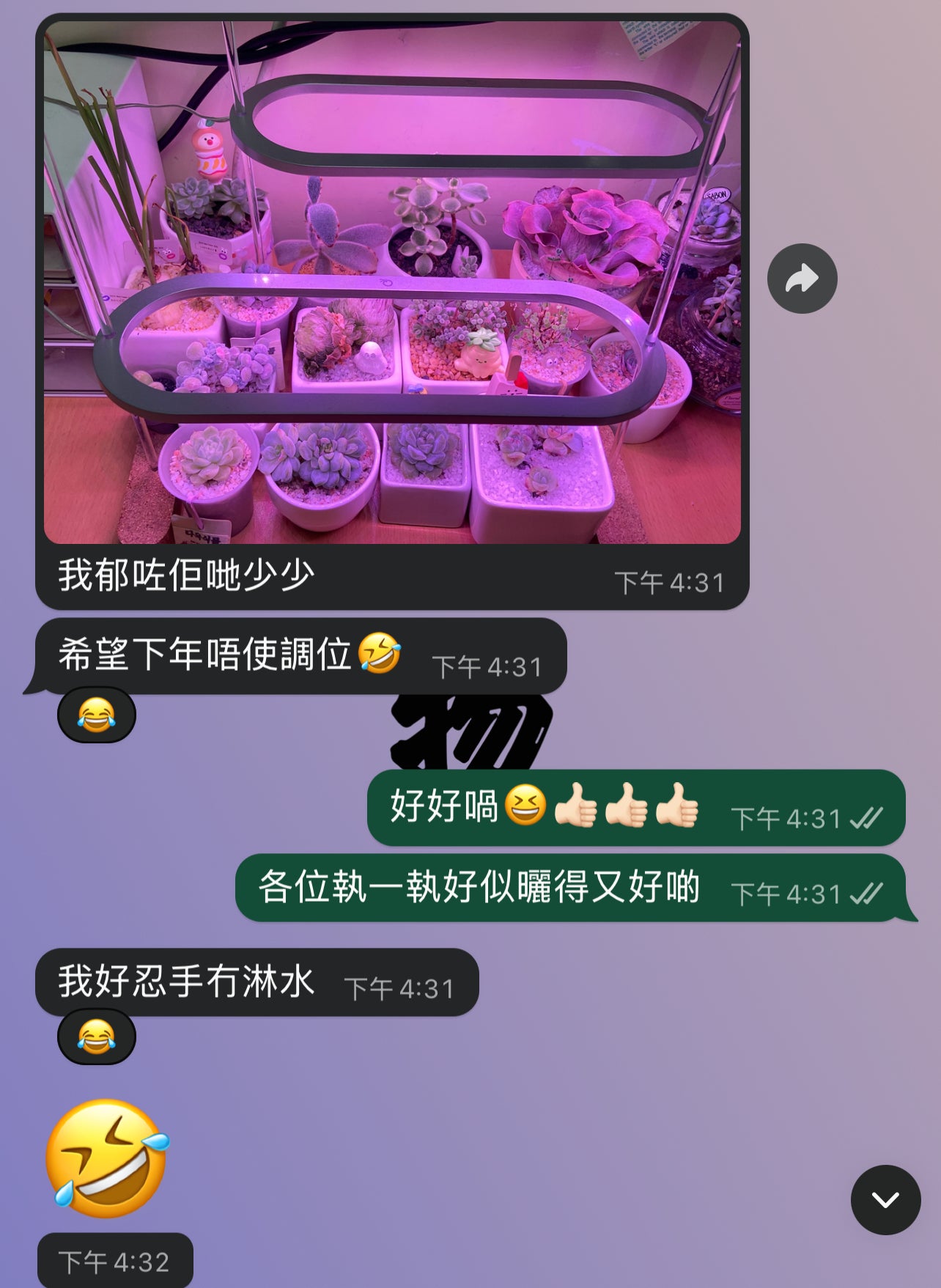 B.H.多肉植物專用燈
