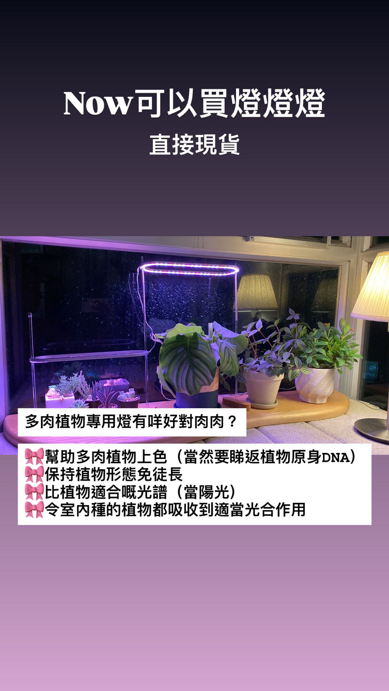 B.H.多肉植物專用燈