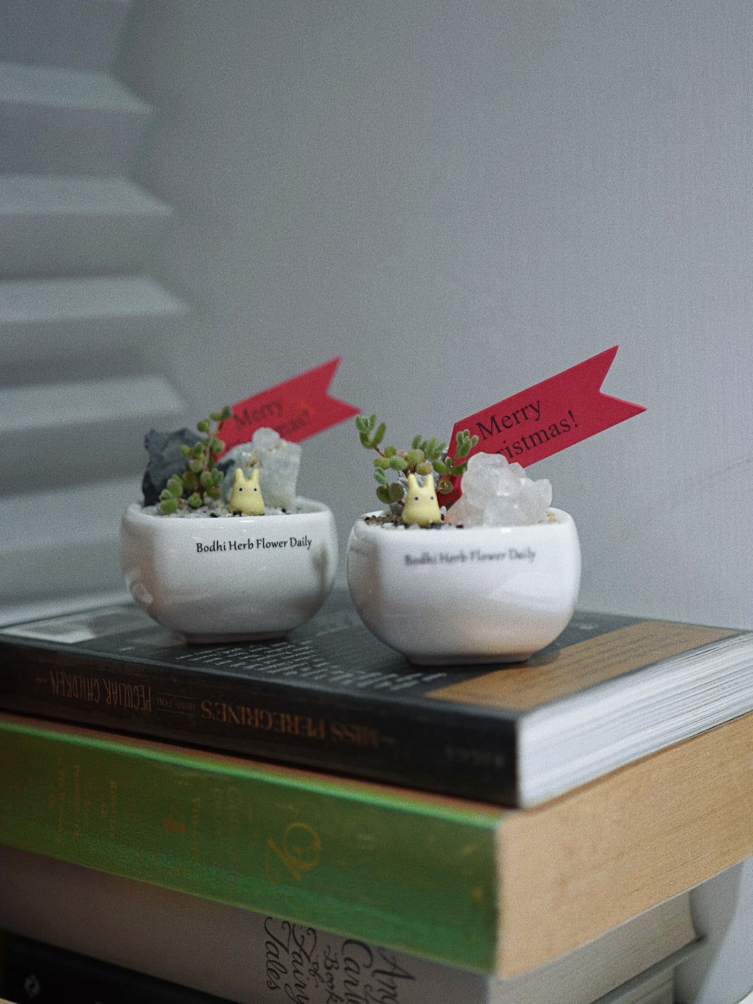 【聖誕禮物】聖誕幸福魔法小樹盆栽