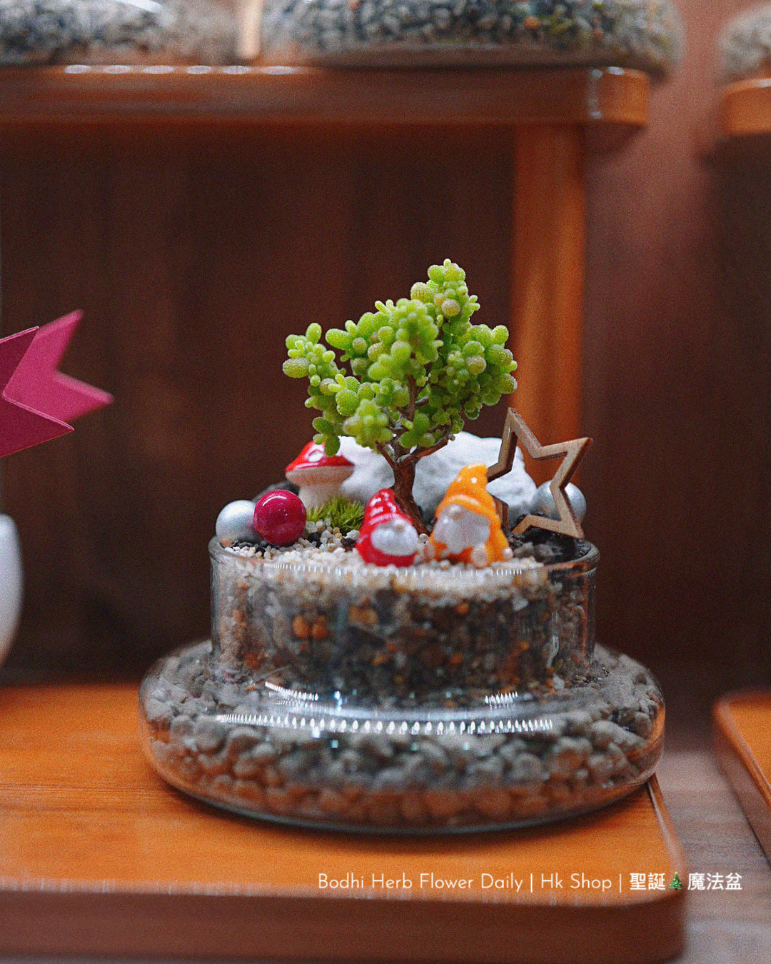 【聖誕禮物】聖誕幸福魔法小樹盆栽