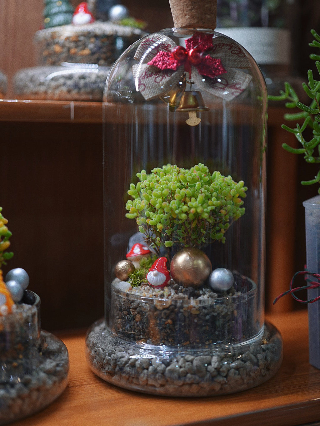 【聖誕禮物】聖誕幸福魔法小樹盆栽