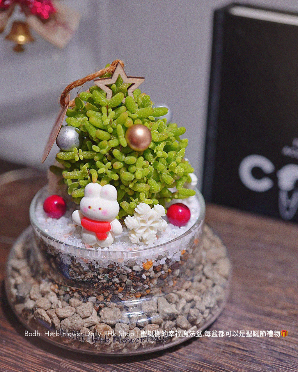 【聖誕禮物】幸福聖誕魔法樹盆栽