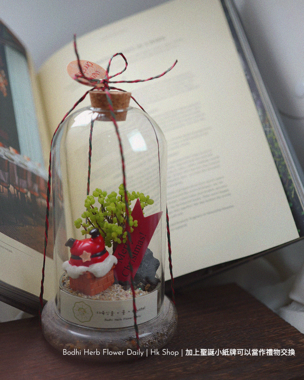 【聖誕禮物】聖誕小樹幸福魔法小盆栽