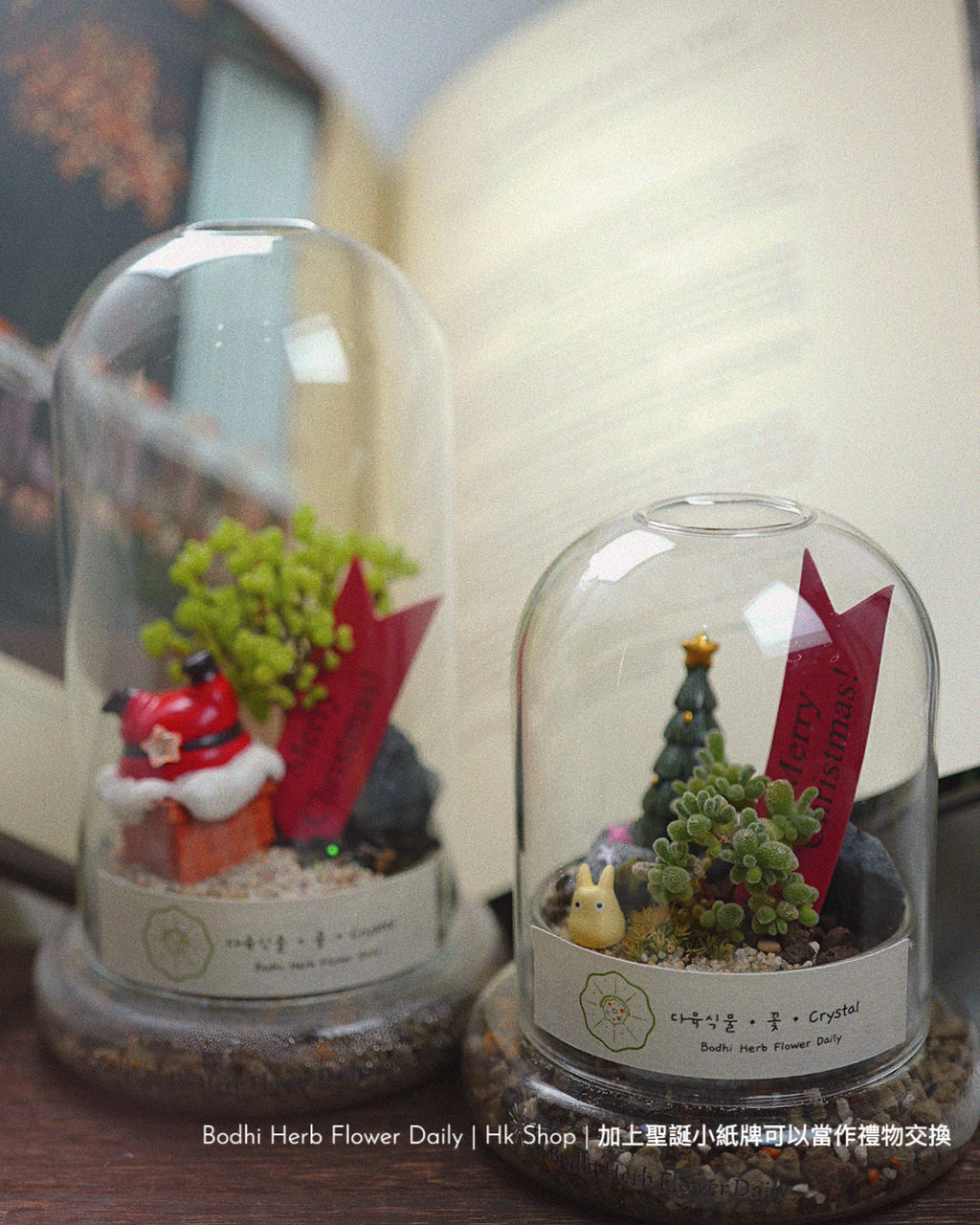 【聖誕禮物】聖誕小樹幸福魔法小盆栽