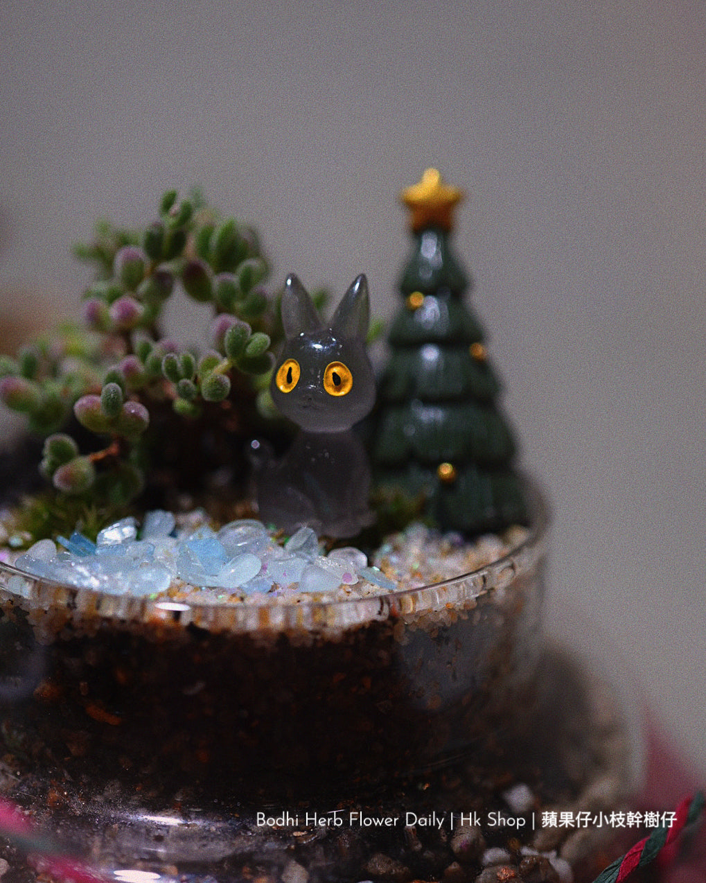 【聖誕禮物】聖誕小樹幸福魔法小盆栽