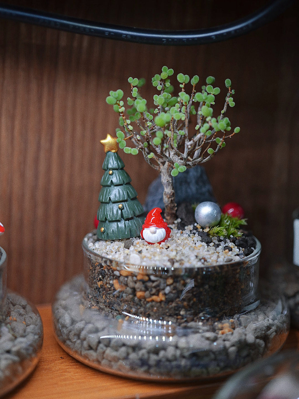 【聖誕禮物】聖誕幸福魔法小樹盆栽