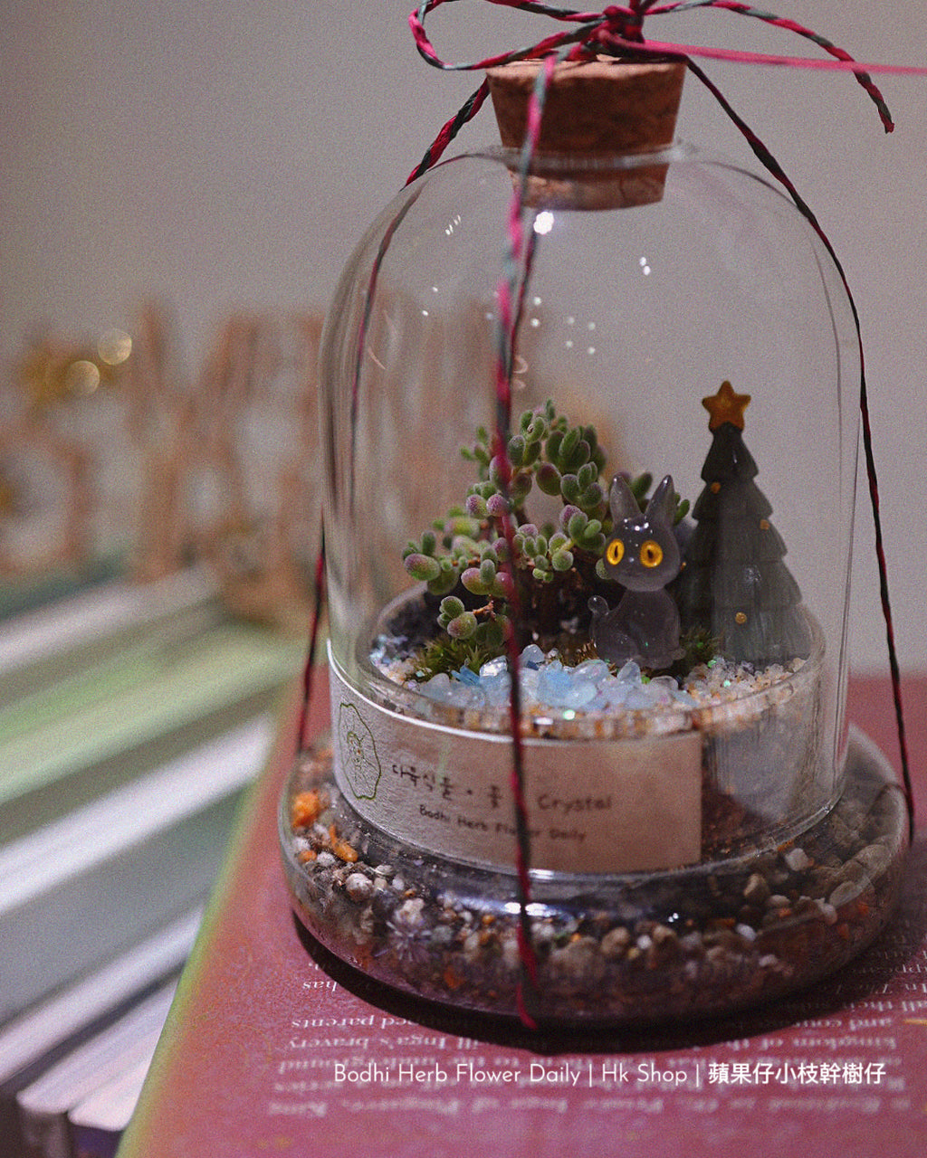 【聖誕禮物】聖誕小樹幸福魔法小盆栽