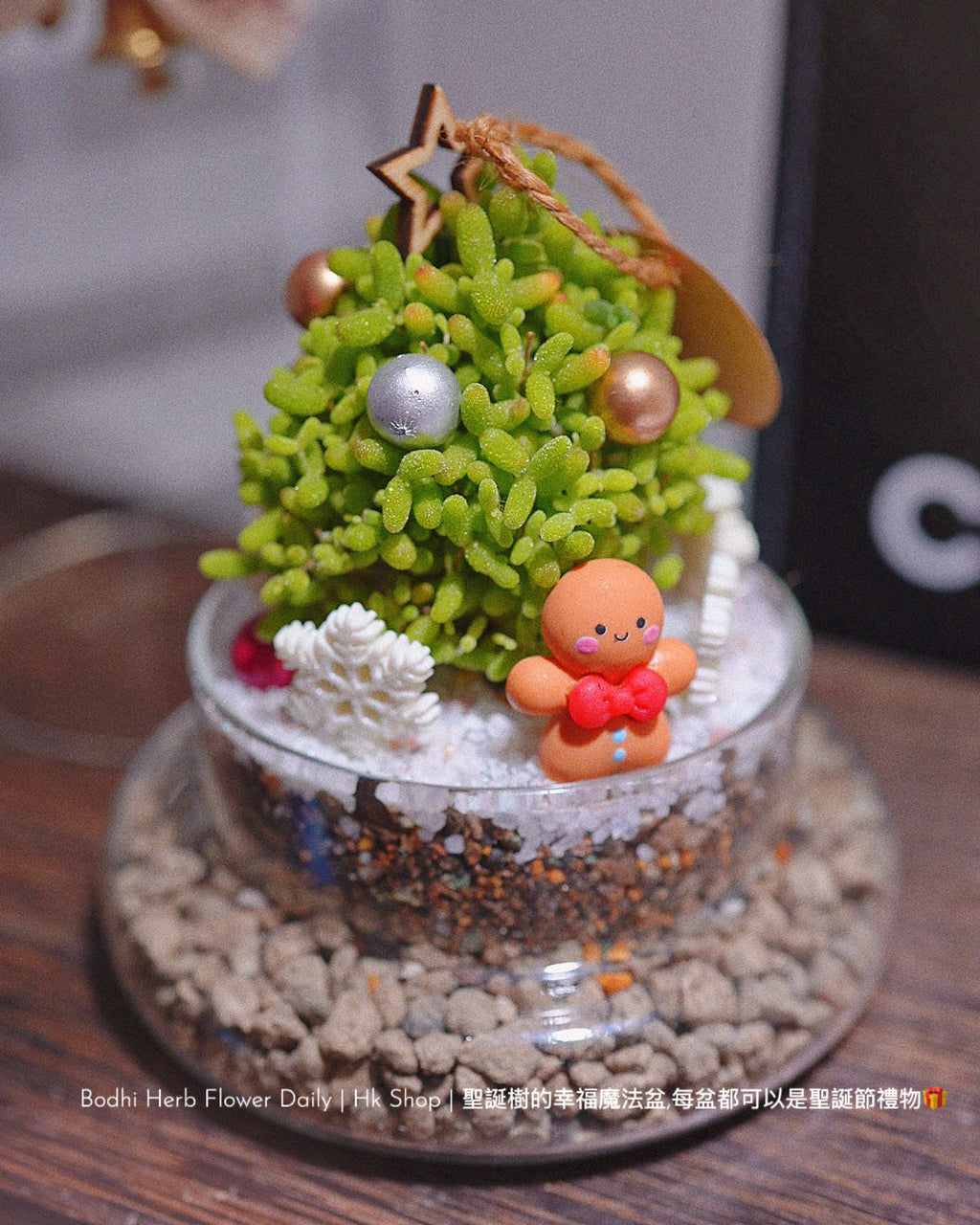 【聖誕禮物】幸福聖誕魔法樹盆栽
