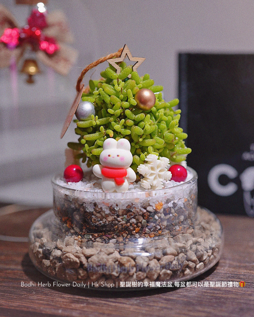 【聖誕禮物】幸福聖誕魔法樹盆栽