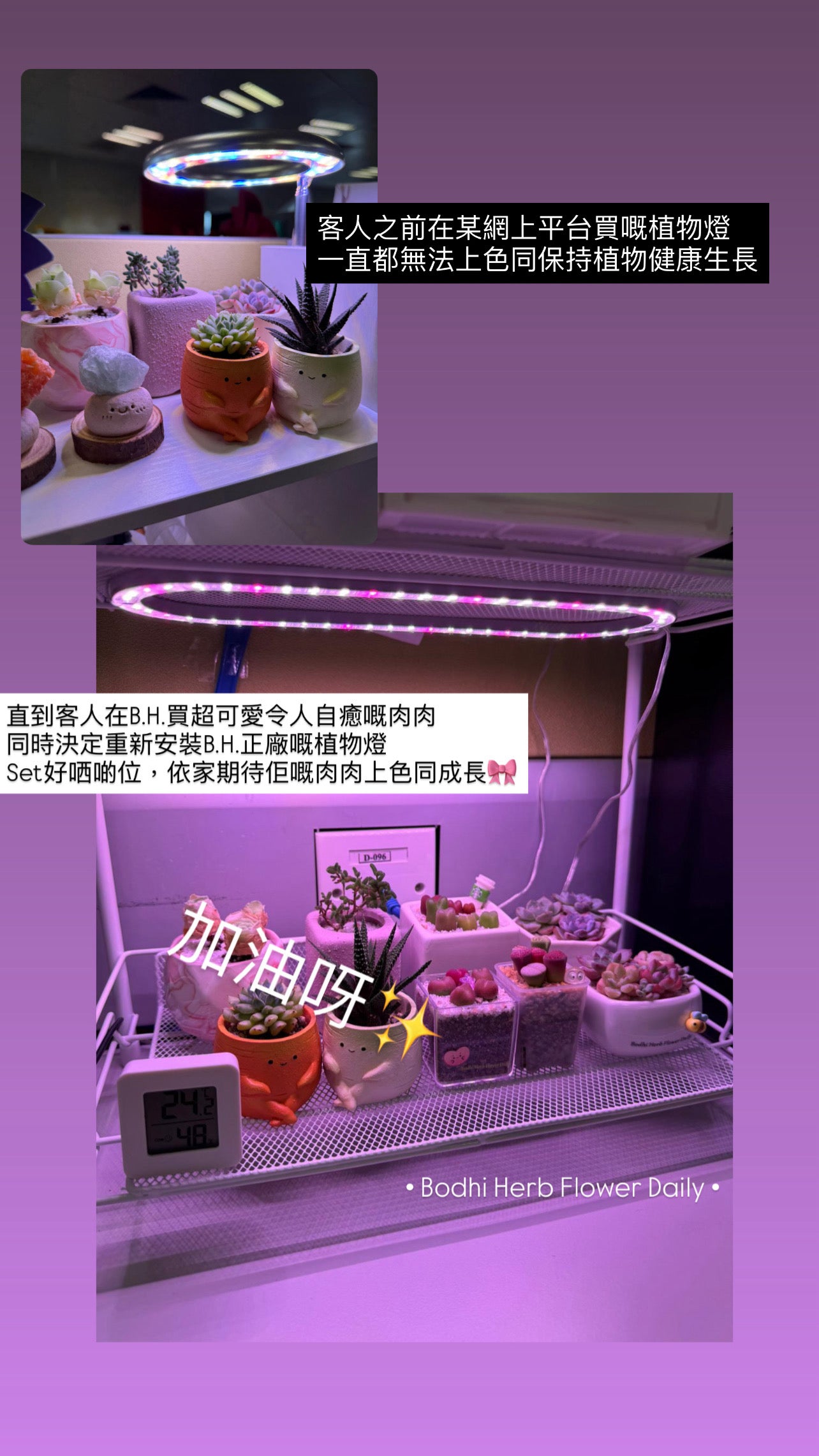 B.H.多肉植物專用燈