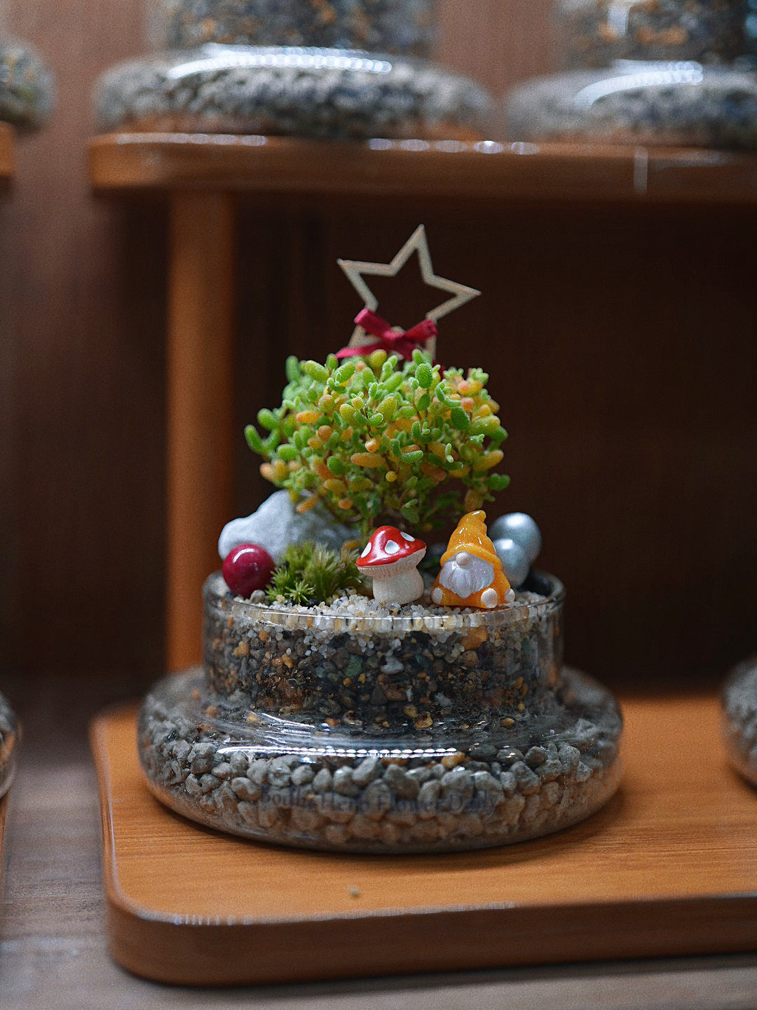 【聖誕禮物】聖誕幸福魔法小樹盆栽