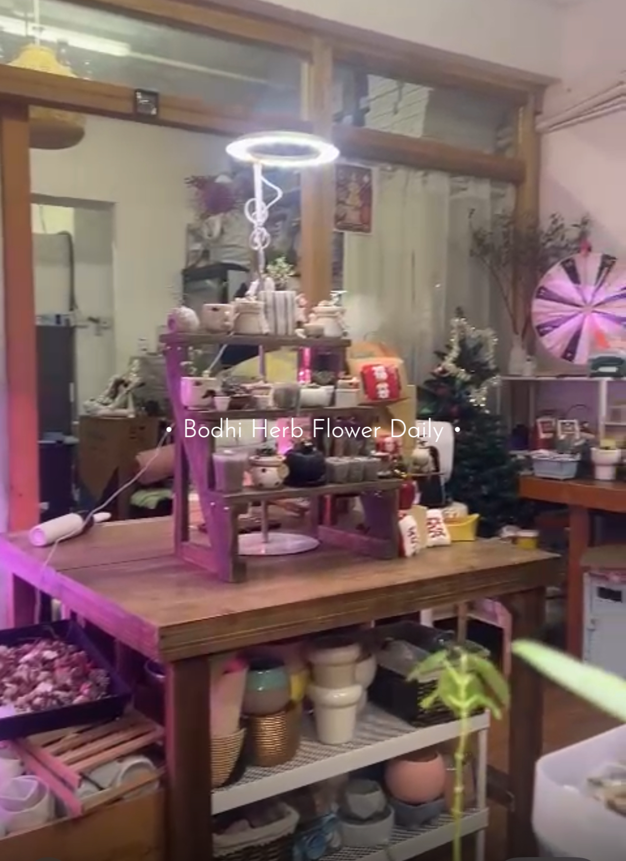 B.H.多肉植物專用燈