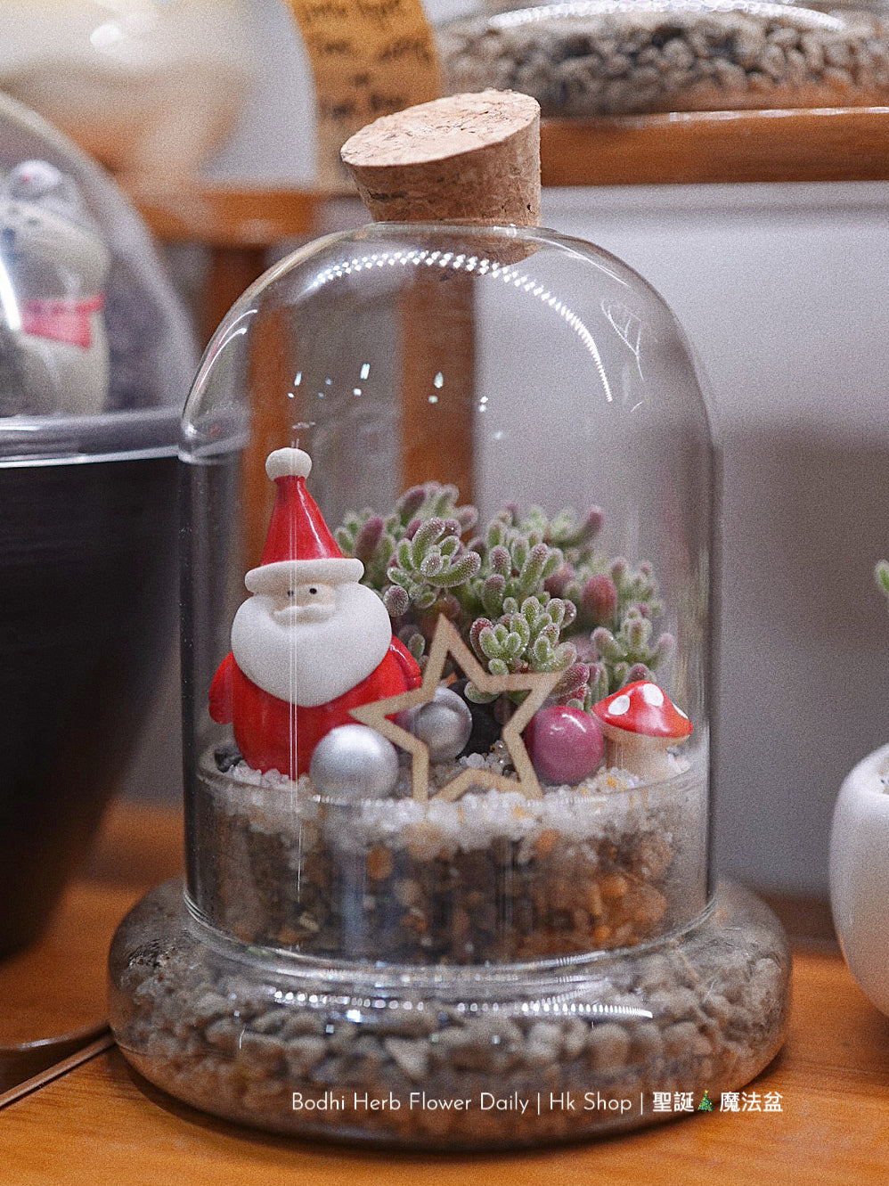 【聖誕禮物】聖誕小樹幸福魔法小盆栽