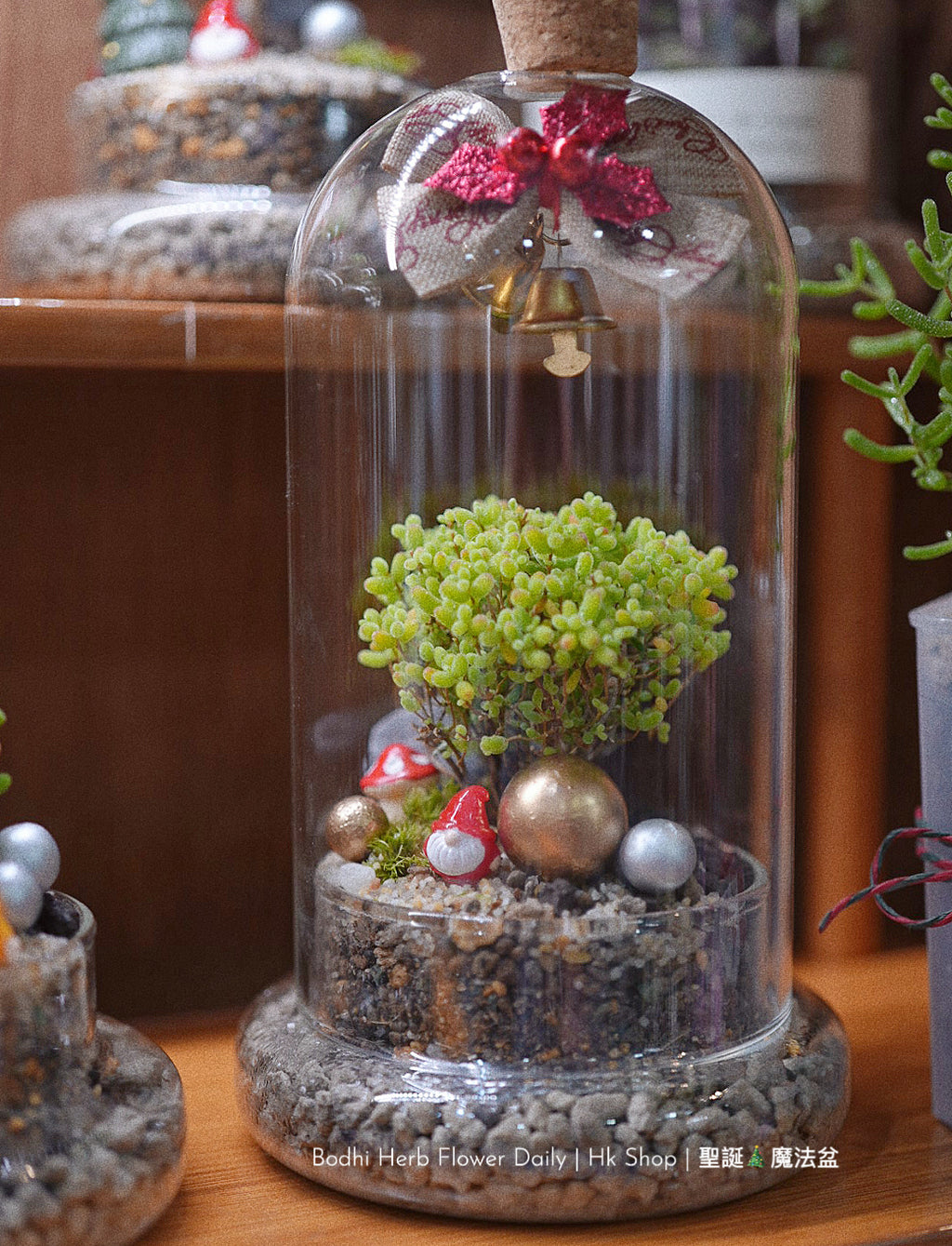 【聖誕禮物】聖誕小樹幸福魔法小盆栽