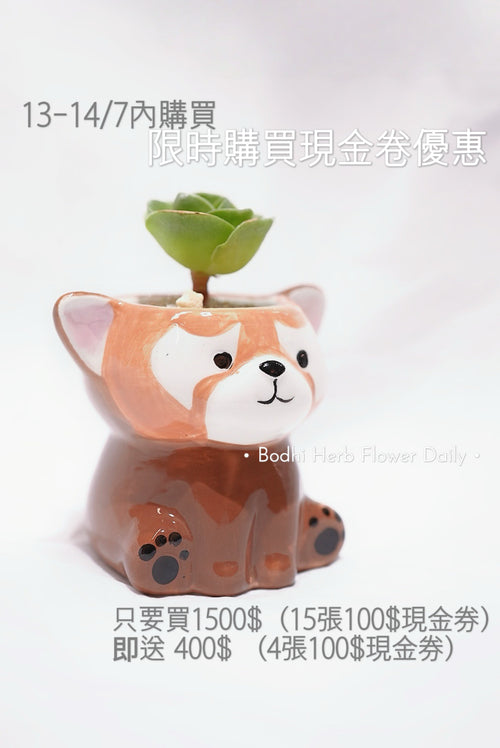 100$現金卷（限時優惠13-14/7）