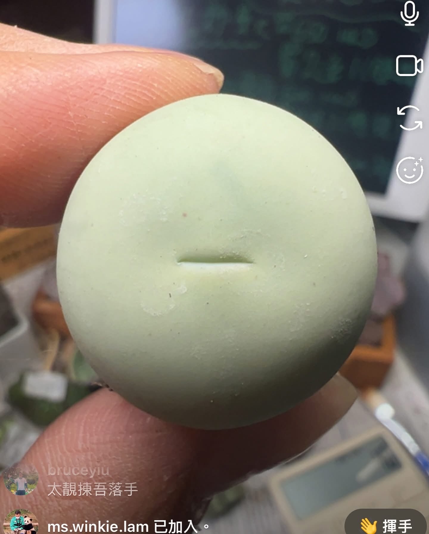 淫咀青豆