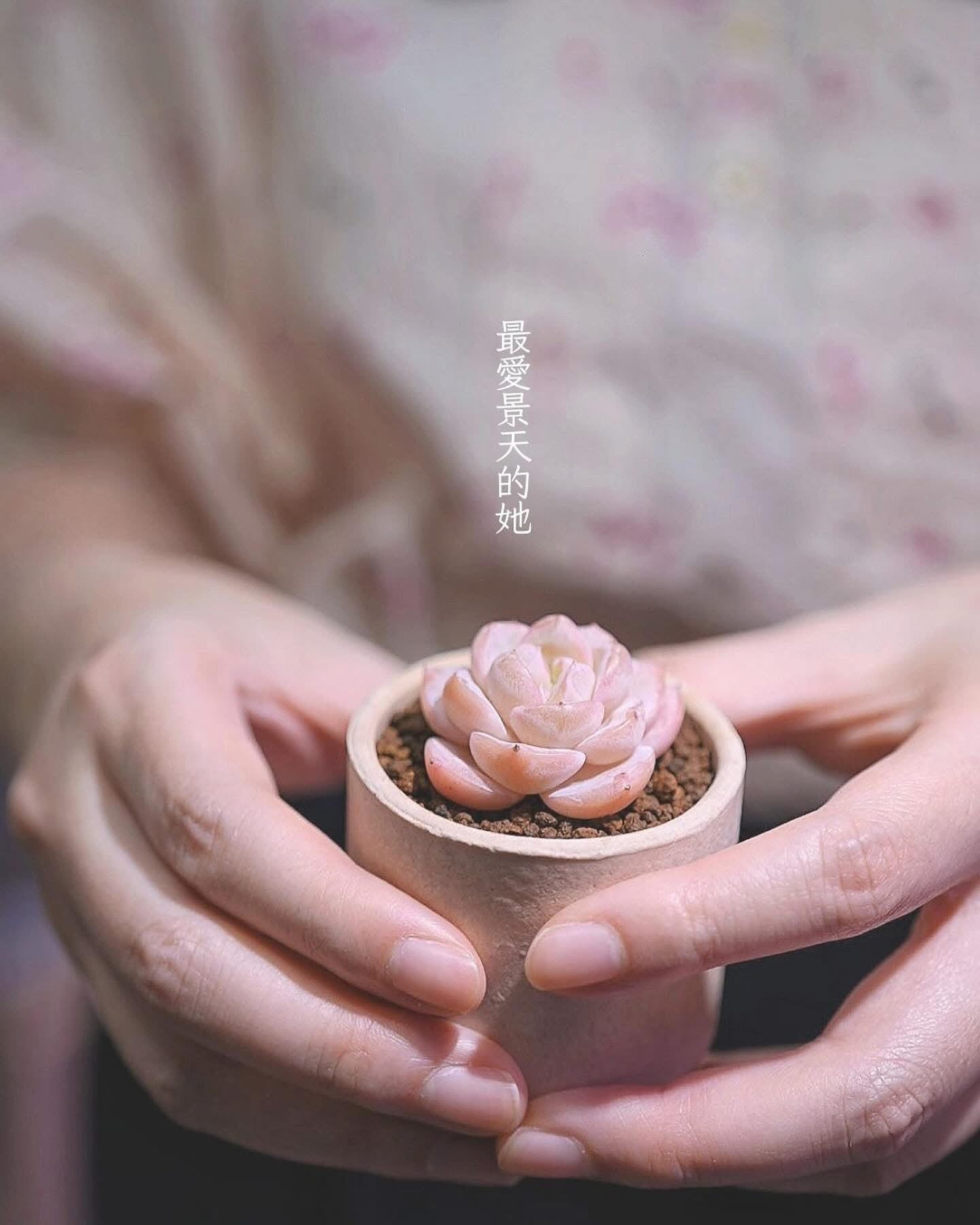 白雪公主