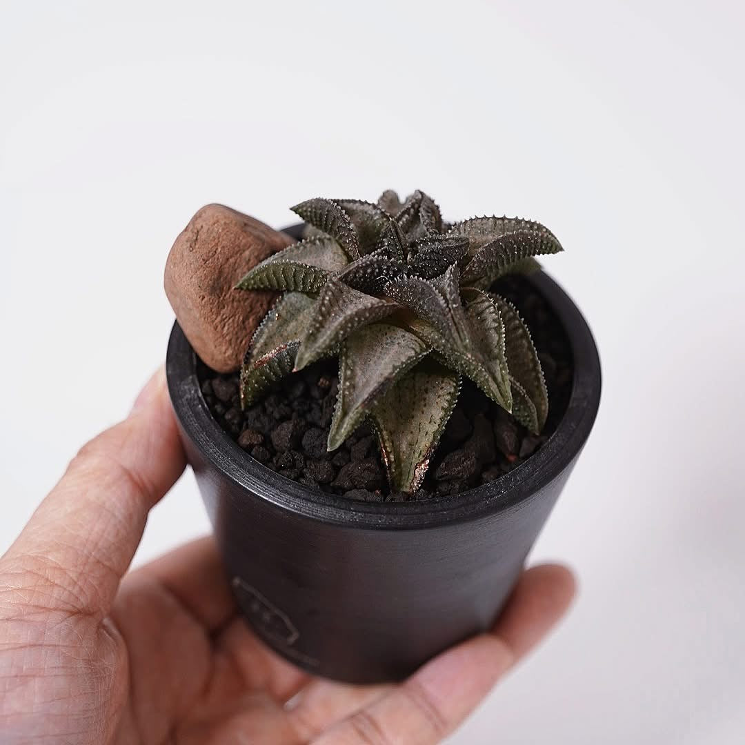 泰鬼瓦