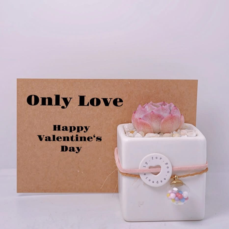 情人節系列  Only You