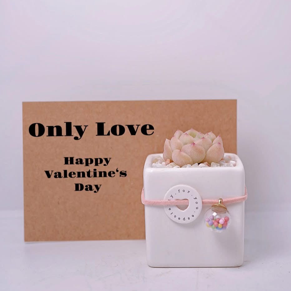 情人節系列  Only You