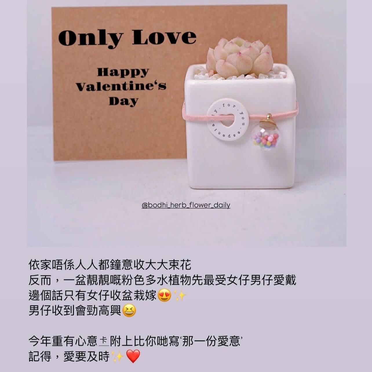 情人節系列  Only You