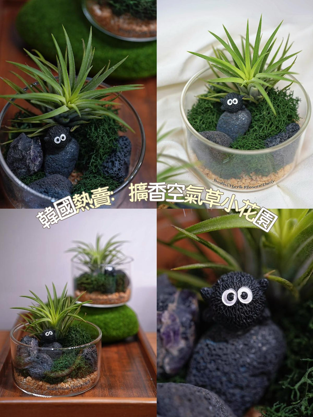擴香空氣草小花園