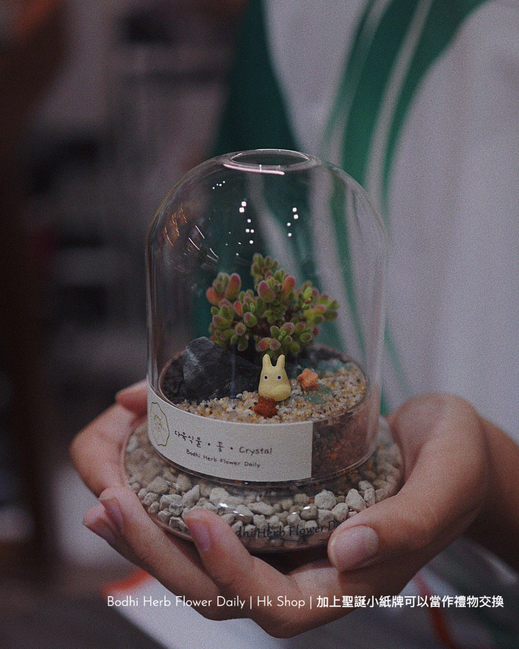 【聖誕禮物】聖誕小樹幸福魔法小盆栽