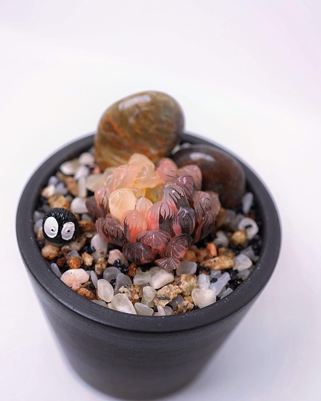 糊斑橙玉露